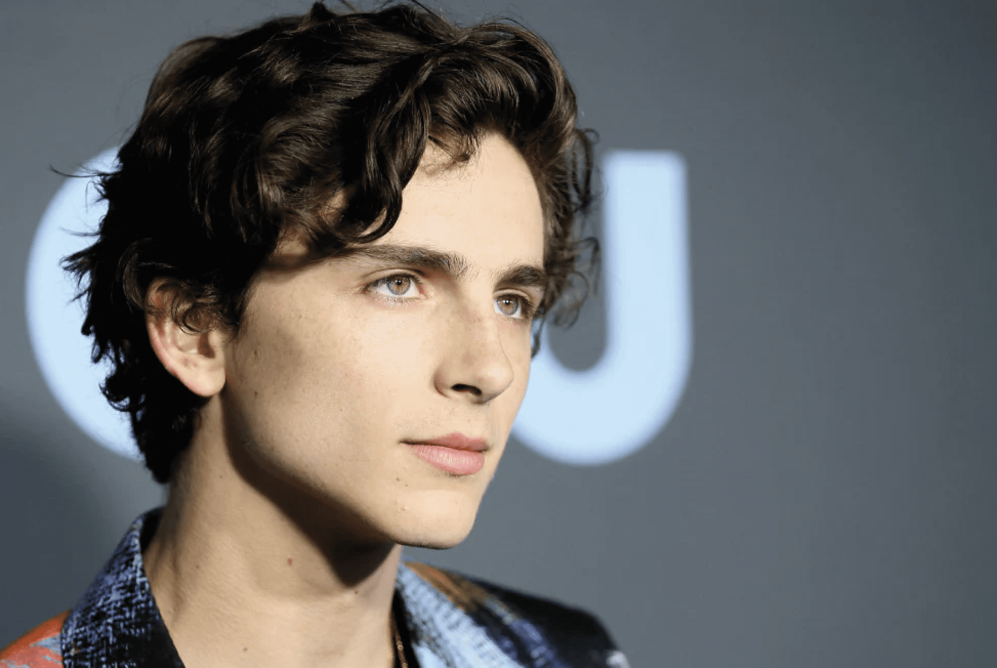 ICON OF THE MONTH: Timothée Chalamet (January 2025 edition)